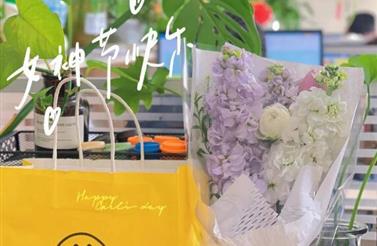 向“她”致敬，光芒何止今天。